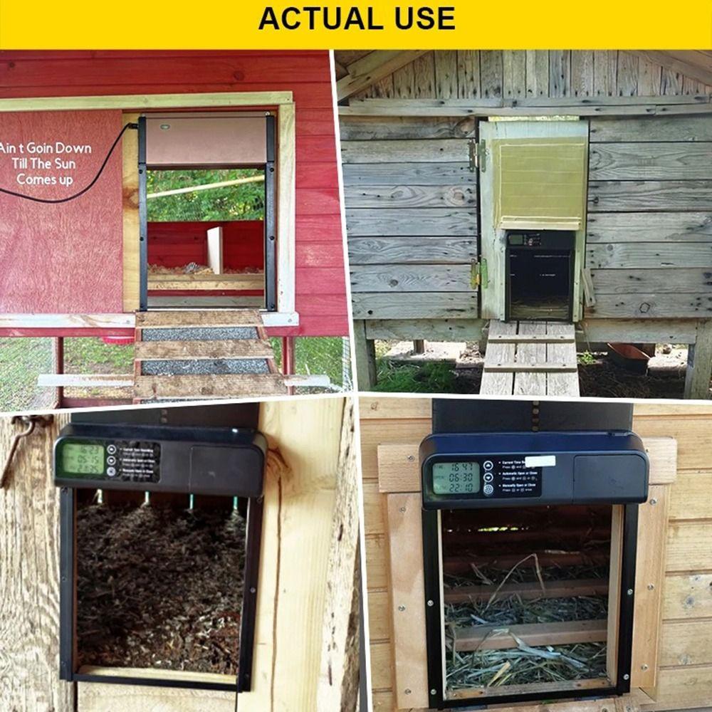 Timer Control Electric Chicken Gate Automatic Pet Flap Accessories Chicken Coop Door Pets Cages