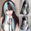 Cosplay Ombre Mint Green Brown Hair Fluffy Long Straight Wig with Bangs  Halloween
