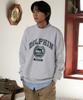 DOLPHIN WAVE APPAREL Dolphin Laurel Sweatshirt Cool Grey