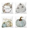 Pillow Case Velvet Cartoon Cushion Cover Sofa decor Throw Cushion Home