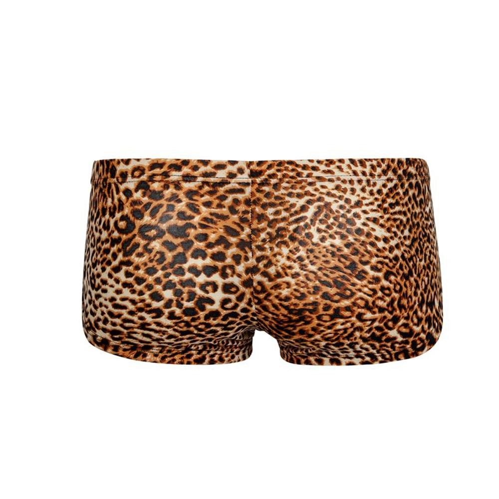 Mesh Briefs Sheer See-Through T-back Thong Underpants