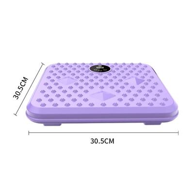 WEZHO Plate de Vibration Électrique pour Tout le Corps Massager Prise CN (adaptateur inclus)