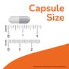Now Foods Devil's Claw Veggie Capsules (100 Count), Joint Health