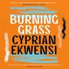 Burning Grass by Cyprian Ekwensi Paperback Book 9781035906017