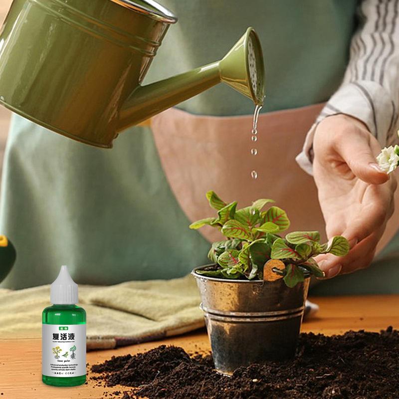50ml Bitki Canlandırıcı Diriliş Sıvısı Yüksek Konsantre Organik Toprak Bitki Köklenme ve Çelikleme Besin Gübreleme Sıvısı
