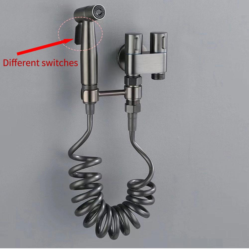 Stainless Steel Handheld Bidet Sprayer Set with Dual-Mode Nozzle Bathroom Cleaning Toilet Spraying Wall-Mounted Modern Chrome