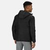 Regatta Mens Honestly Made Padded Jacket
