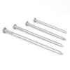 Wankajia Stainless Steel Round Nails