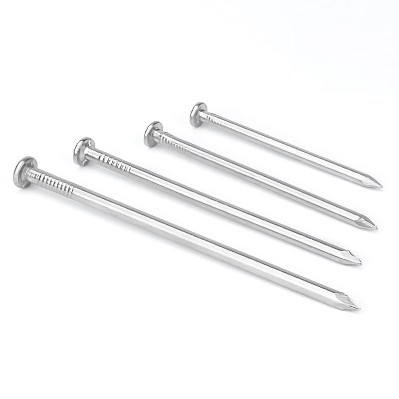 Wankajia Stainless Steel Round Nails