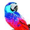Handcrafted Parrot Figurine for Outdoor Display