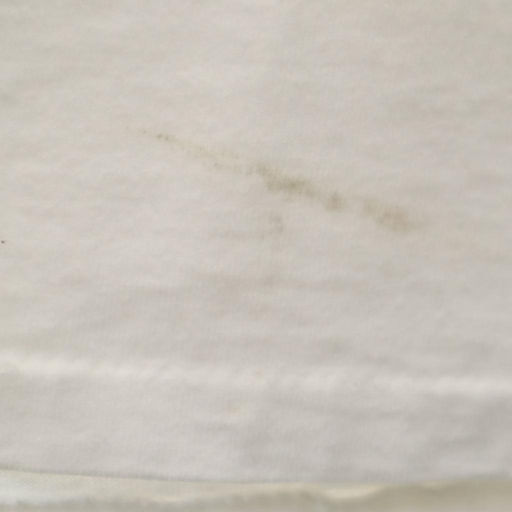 Quiksilver Made in USA Back logo Short sleeve T-shirt L Single stitch Men's Used