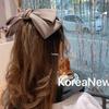 Korean Satin Bow Hair Clip - Elegant Spring Flower Hairpin for Ponytails