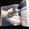 [USED] Paul Nicklen Photo Collection "Bear: Spirit of the Wild