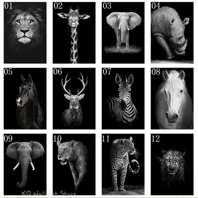 Black White Animals Art Canvas Paintings On The Wall Lion Tiger Elephant Posters and Prints Wall For Living Room Home Frameless