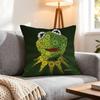 Character Kermit The Frog Cushion Cover 1Pcs Decorative Covers Soft Cushion Case For Sofa Couch Decor 40X40 45X45 Pillowcases