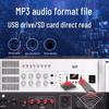 SAST SA Series 1500W Professional Public Address Amplifier CN Plug (adapter Included)