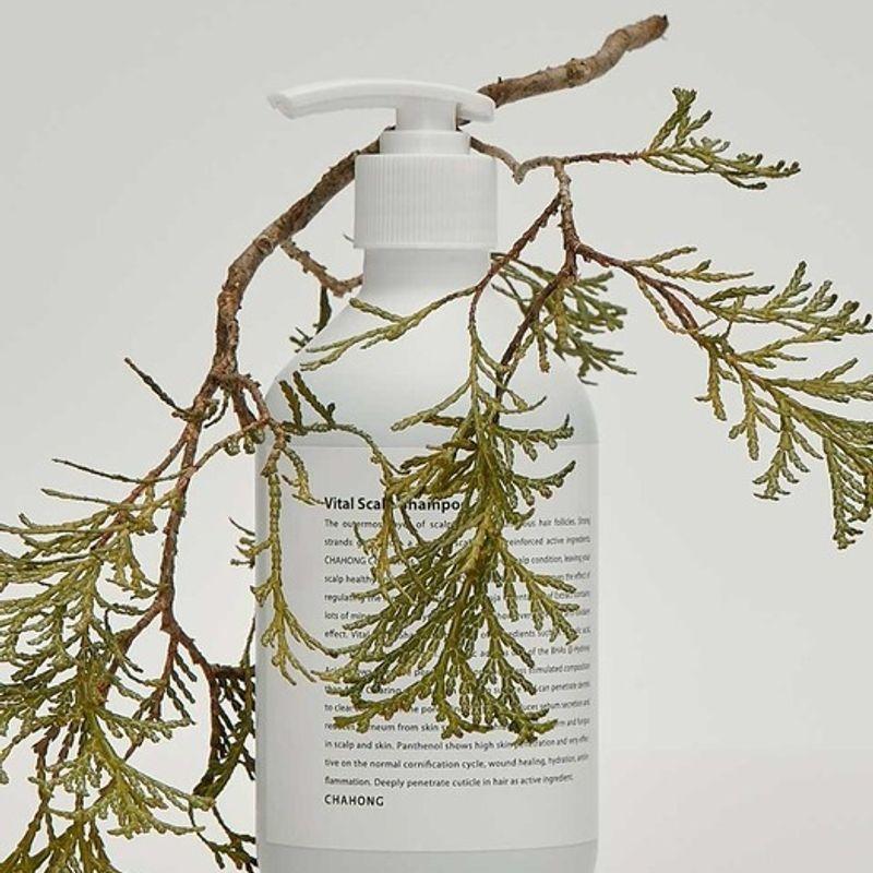 CHAHONG Vital Scalp Shampoo (Oily & Sensitive) 500ml 500ml