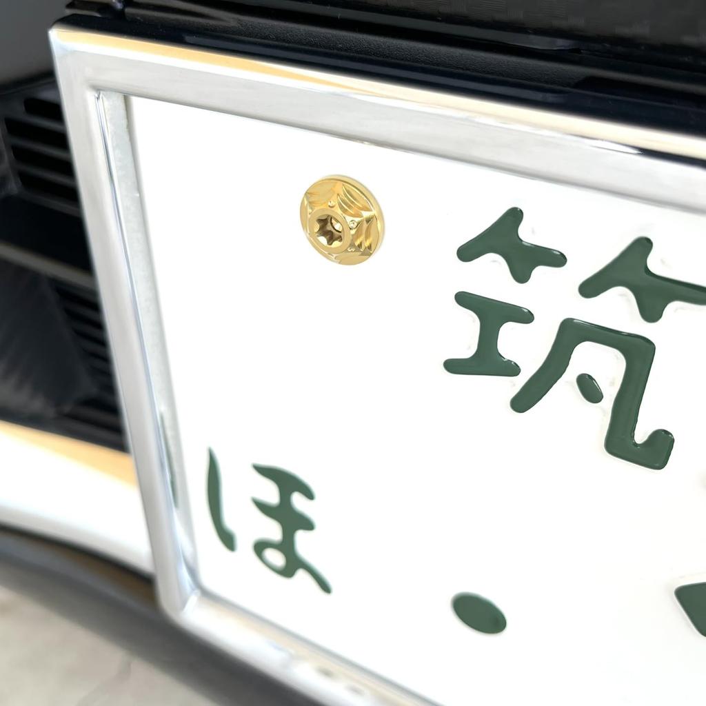 RENPA Titanium Alloy License Plate Bolt, Snowflake Design, Vehicle Inspection