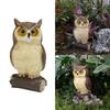 Waterproof Cute Miniatures Garden Display Ornament Desktop Figurines Decor Resin Fake Owl Sculpture for Courtyard Patios