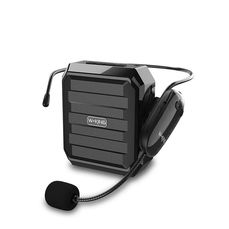 W-King KS10+ Portable Wireless Amplifier