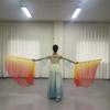 Multicolor Belly Dance Accessories Props Scalable Rods Dance Props Semi-circular Flags  Dance Party