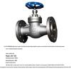 GF Globe Valve