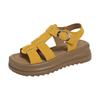 Sandals women's summer new women's shoes with niche casual comfortable platform beach Roman shoes women