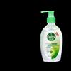 Dettol No-Rinse Antibacterial Hand Sanitizer