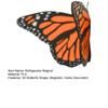 Yousheng 3D Printed Butterfly Refrigerator Magnet DIY Home Kitchen Locker Fridge Monarch Tiger Swallowtail Blue Butterfly Magnetic Decoration Ornament