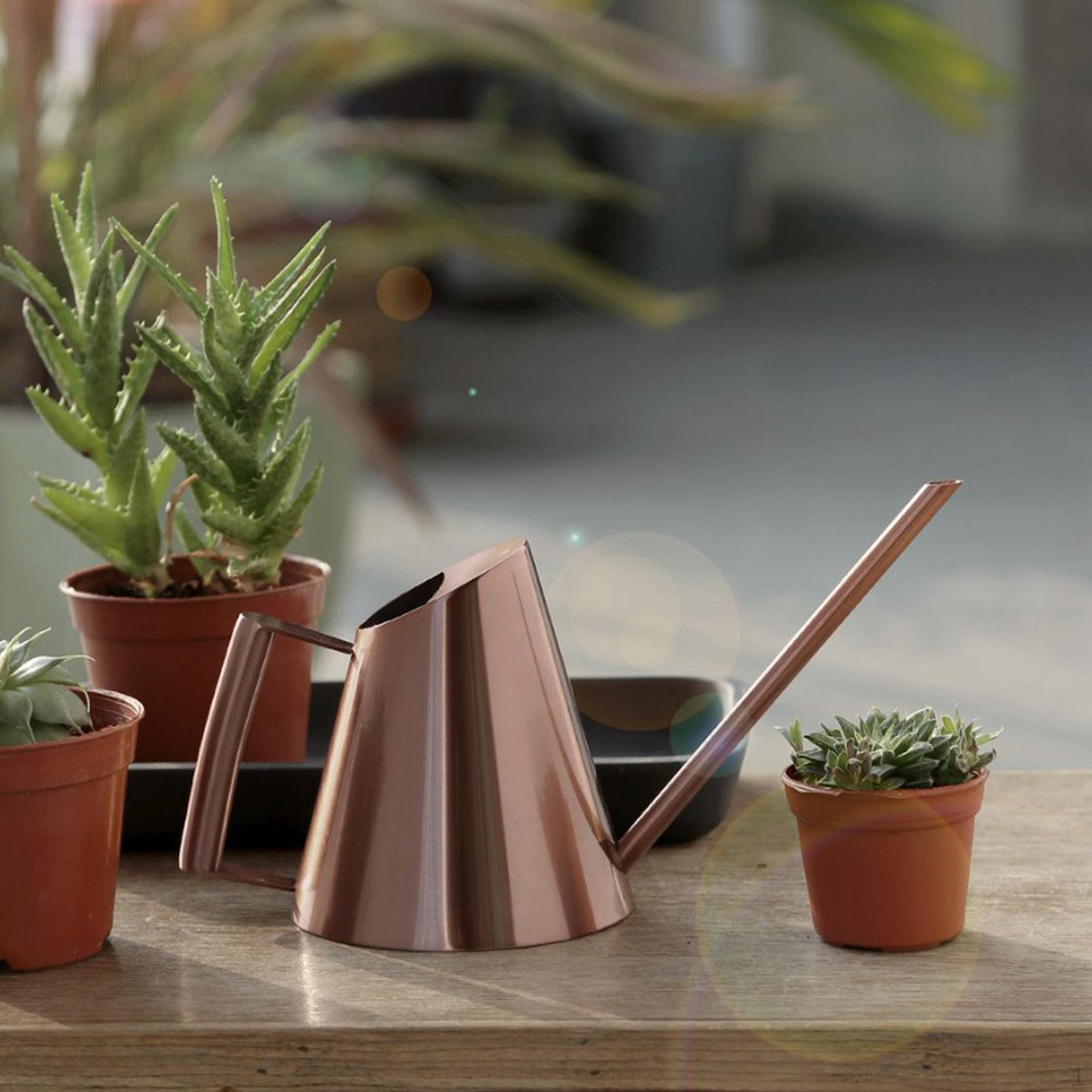 

Modern Style Stainless Steel Small Watering Can Kettle Brushed with Outdoor Indoor Desk Plants bronze 400ml