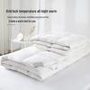 Source Life White Duck Feather Down Winter Quilt