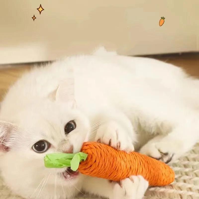 1/2/3/4/5pcs Fun Cat Teething Stick Sound Carrot Cuddle Toy Anti-Bite Scratch Board Pet Supplies For Interactive Entertainment