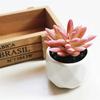 1Pc Artificial Flower Succulent Plant Bonsai DIY Garden Office Home Party Decor
