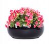 Ceramic Flowerpot, Black, Oval, Decorative Bowl, 19x8cm
