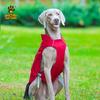 Large Dog Winter Jacket Waterproof Warm Coat Outdoor Walking Running Nylon Pet Apparel Blue Red Gray
