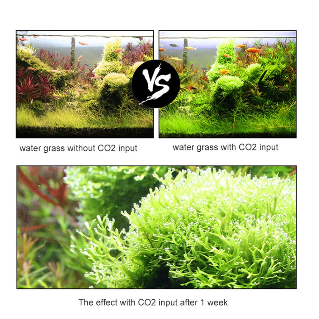 Aquarium CO2 Generator System Kits CO2 Stainless Steel Cylinder Generator System Carbon Dioxide