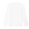 FILA Sweatshirt Men's Jade White F11M443205F-WT