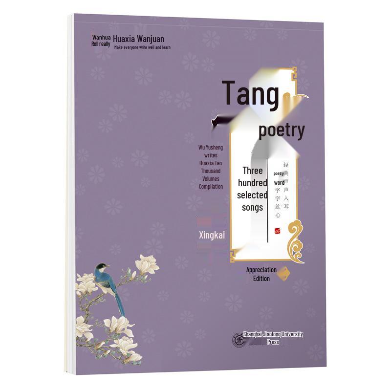 Zhou Peina s 300 Tang & Song Dynasty Poems Calligraphy Copybook for Student & Adult Fountain Pen Practice