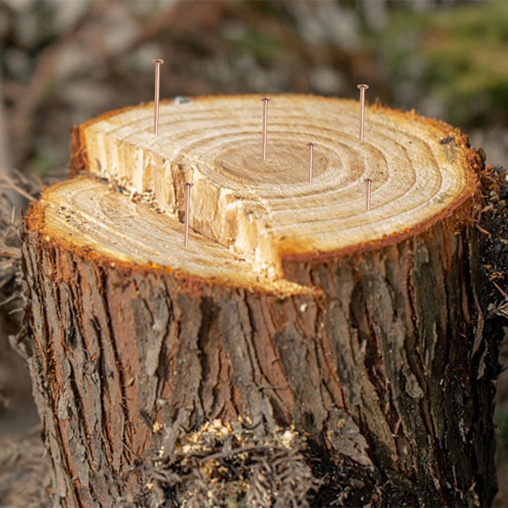 4-Zoll Kupfernägel Kupfernägel für Bäume Reines Kupfer Konstruktion Weiches Kupfermaterial 15 Stück Paket Kupferstifte für Pflanzen