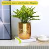 Ivara Metall-Pflanzgefäße (5 Zoll B, 6,4 Zoll L), Kleine Zimmerpflanzgefäße, Blumentöpfe, Heim-Gartendekor Pflanzgefäß für Wohnzimmer Schlafzimmer Innenbereich