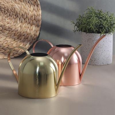 Stainless Steel Long Spout Watering Can - 500ML Balcony Household Sprinkler & Metal Spray Bottle