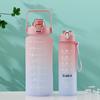 Two-Piece Gradient Plastic Water Cup with Straw - Large Capacity Space Cup