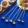 304 Stainless Steel Long Handle Seasoning & Sauce Spoon