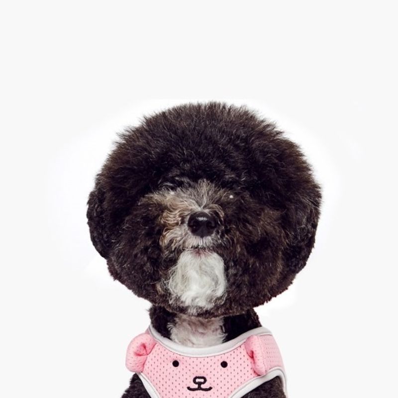 PET AROUND GOMDORI HARNESS Pink