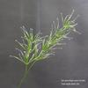Asparagus Fern & Willow Buds Greenery for Wedding Decor & Landscaping