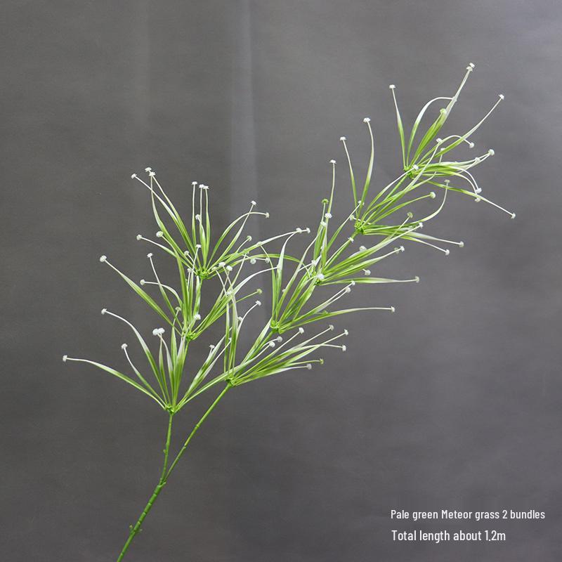 Asparagus Fern & Willow Buds Greenery for Wedding Decor & Landscaping