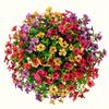 12 Bundles,Uv-Resistant Artificial Daisy Flowers - Mixed Colors, Faux Silk Boxwood For Outdoor Decor
