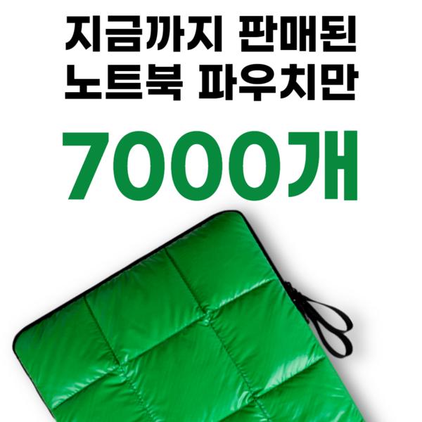 Dast Laptop iPad Pouch Case Bag