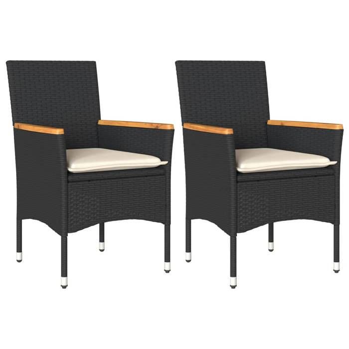 VidaXL Set of 2 Garden Chairs with Cushions, Seats with Armrests, Armchairs with Backrest, Patio Furniture, 368119