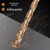 Hangshi Straight Shank Twist Drill Bit Set